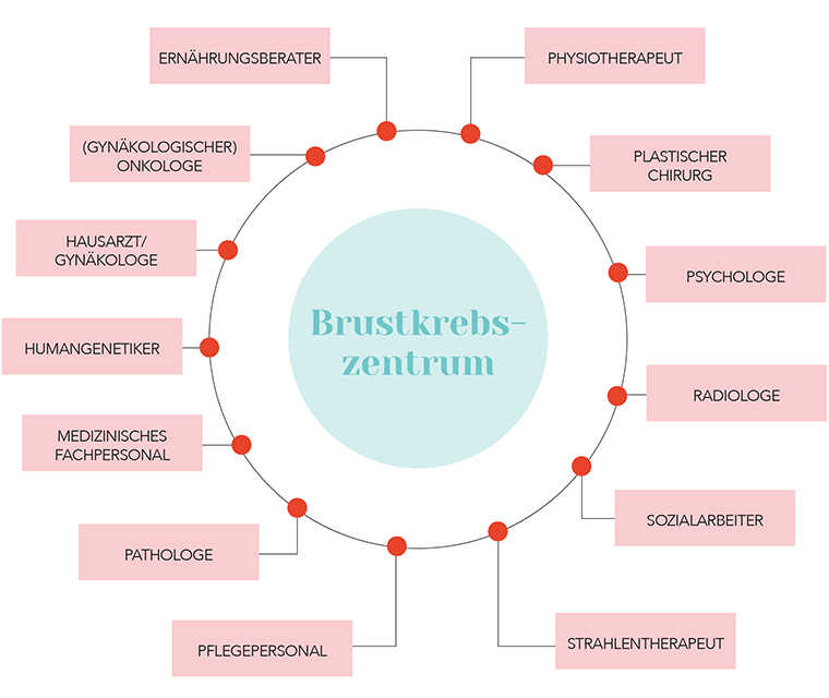 Leben mit Brustkrebs: Grafik wer alles in einem Brustkrebszentrum arbeitet