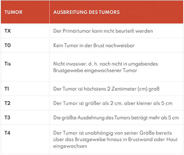 TNM Klassifikation Stadien Leben mit Brustkrebs
