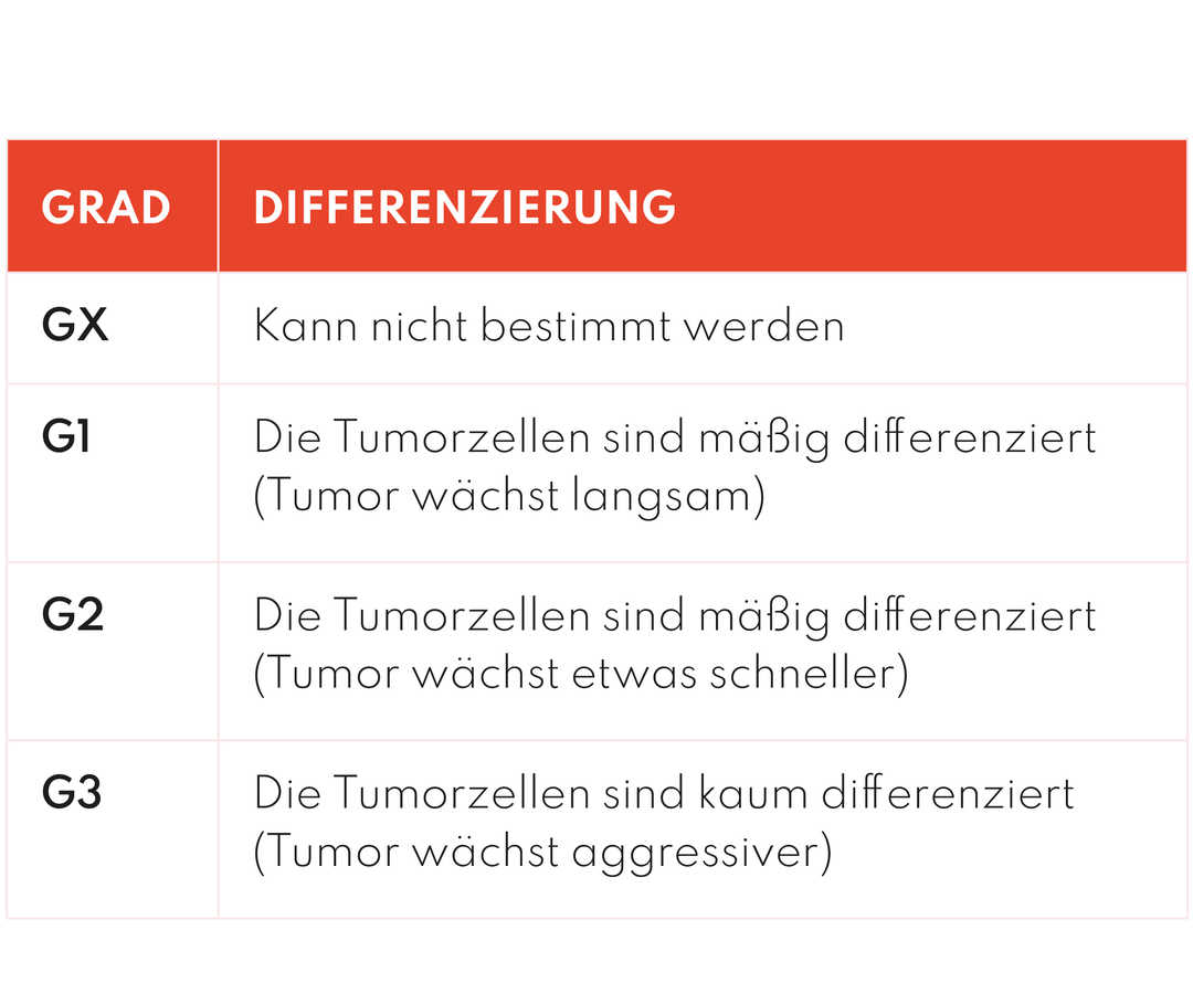 TNM Klassifikation Stadien Leben mit Brustkrebs