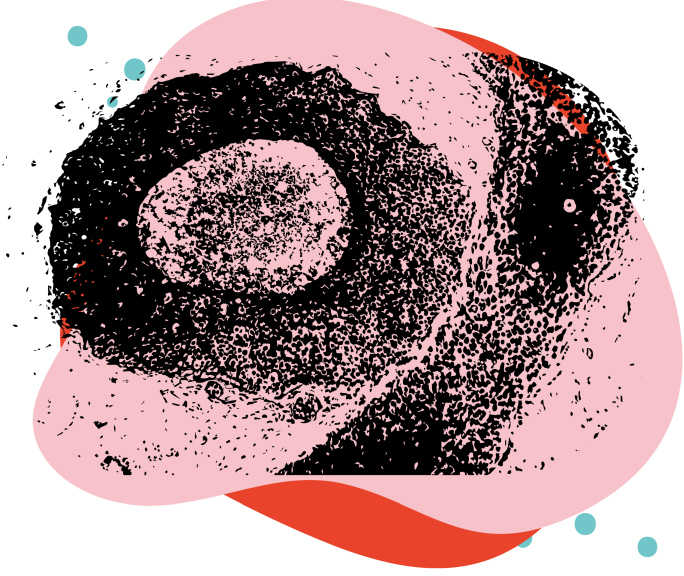 bildgebender Verfahren