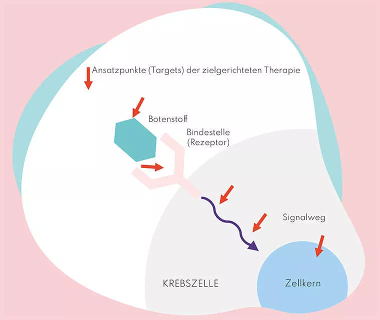 Leben mit Brustkrebs: Abbildung von der Wirkungsweise der zielgerichteten Therapie Leben mit Brustkrebs: Abbildung von der Wirkungsweise der zielgerichteten Therapie