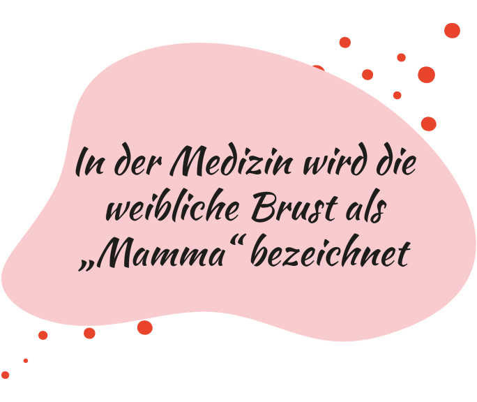 Spruch1