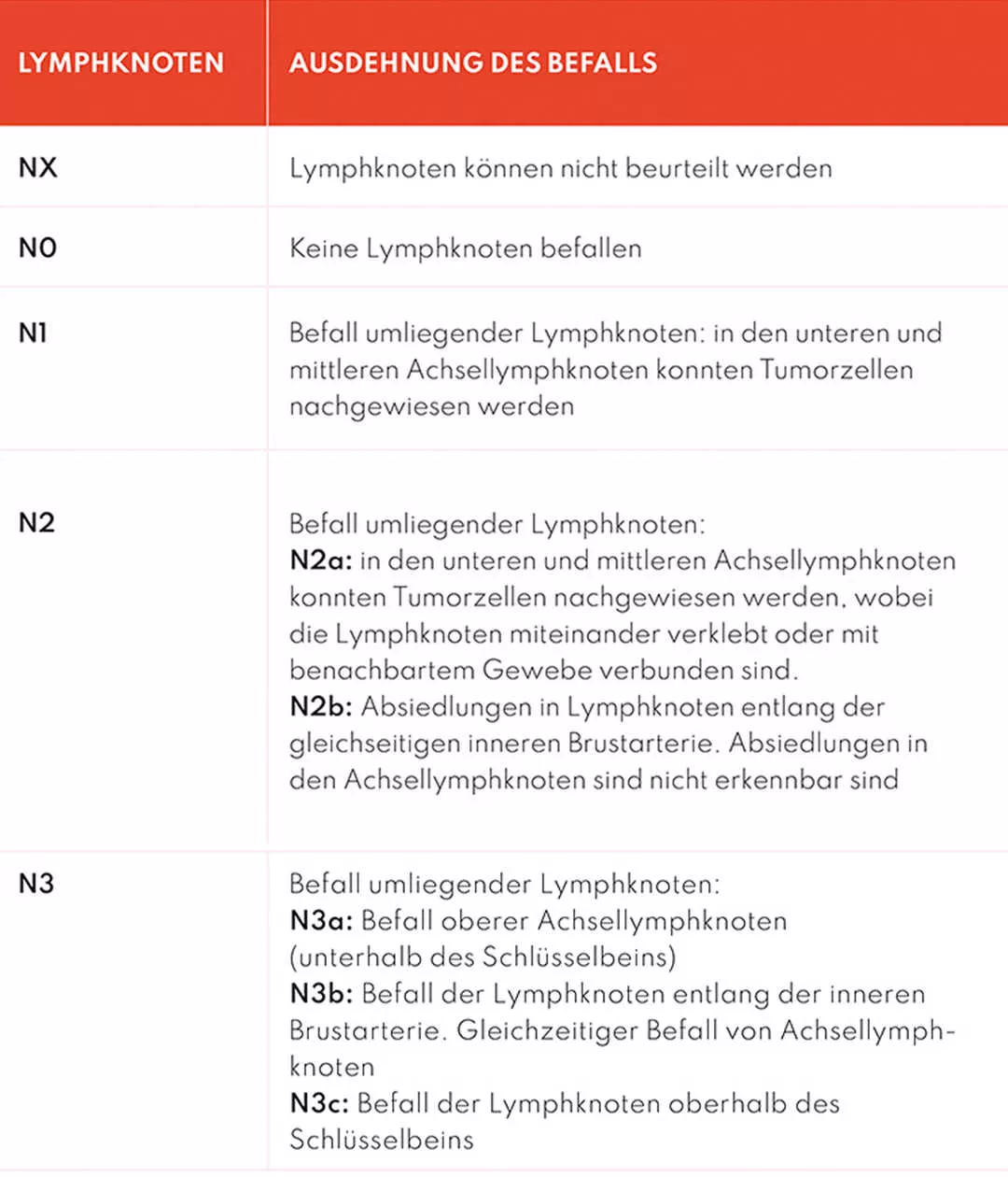 Leben mit Brustkrebs: TNM im Detail „Ausdehnung des Befalls“