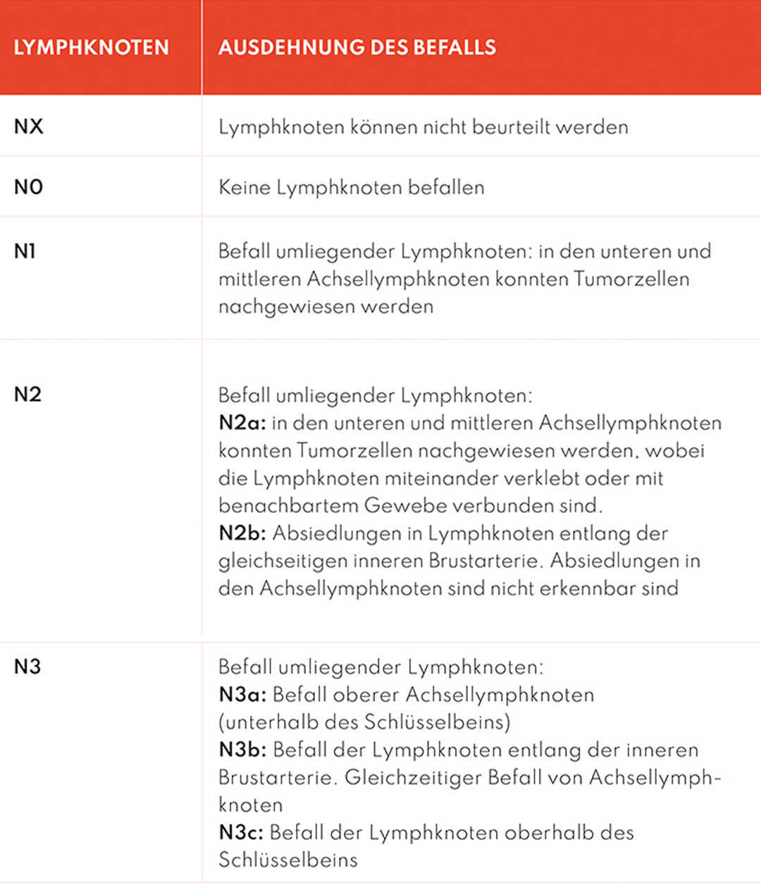 Leben mit Brustkrebs: TNM im Detail „Ausdehnung des Befalls“