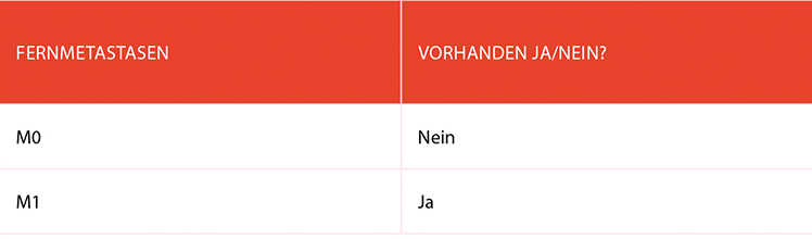 Leben mit Brustkrebs: TNM im Detail „Fernmetastasen“
